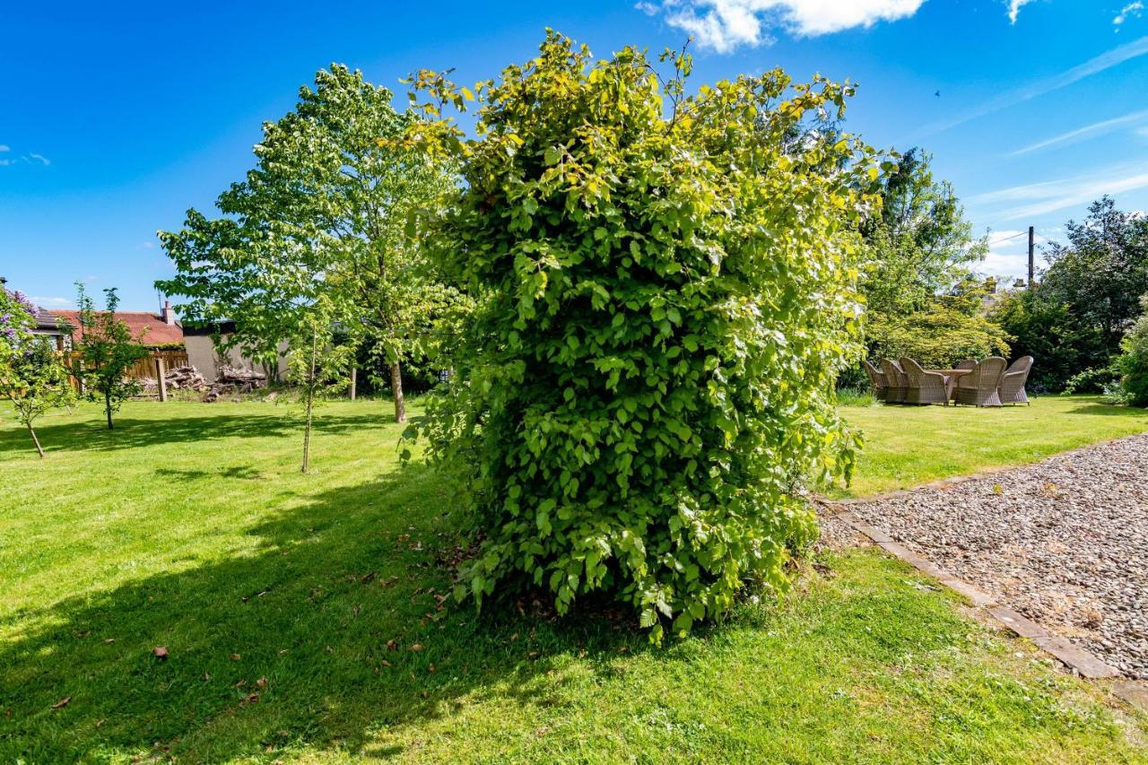 Rosebank House Blairgowrie - Sleeps 12, Games Rooms, Ev Point, Pets Welcome Blairgowrie and Rattray Dış mekan fotoğraf